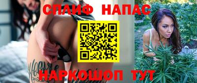 бошки Долгопрудный