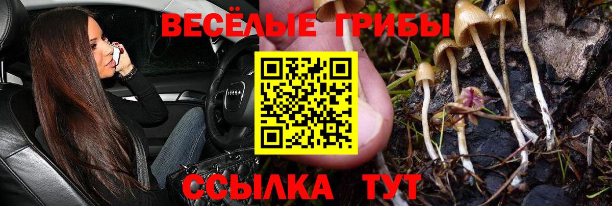 Пенза  Псилоцибиновые грибы мицелий  Вход с VPN  Галлюциногенные грибы Cubensis 