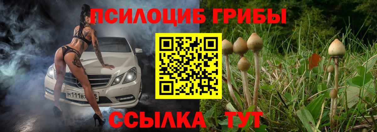 Галлюциногенные грибы мухоморы Пенза